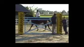 ShowJumperClinic.com Presents Alois Schweckhorst Riding & Lecturing Mary Poppins sample 5586