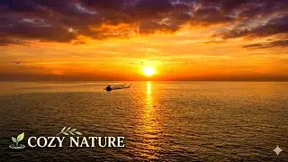 Ocean Sunset | Relaxing Sea Views for Stress Relief & Meditation 🌅|Calm Relaxation Music |+11 Hours 