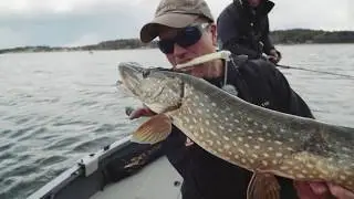 Pike Fight - Training Day 4 - Westin Fishing