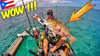 PARGO GRANDE !! Pesca en Puerto Rico en Kayak - How to Fish #Mutton #Snapper