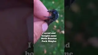 Buying Moth Booster Pack Singles