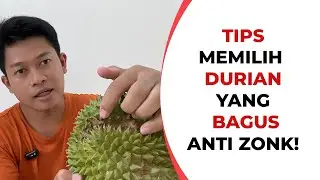 Jangan Salah Pilih! Ini Tips Memilih Durian Yang Bagus