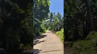 Province view #provincefeels #nature #paradisephilippines