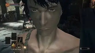 Sl1 Any% DS3 Guide/Commentary German