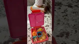 Easy school lunch ideas for picky eaters 🍱