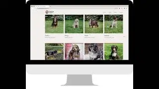 Paws on Puppies Website Design