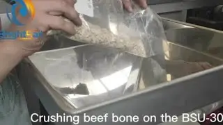 crushing beef bone on the BSU-30