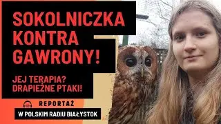 NIESAMOWITA SOKOLNICZKA JULIA W CZYŻEWIE - JAK DRAPIEŻNE PTAKI PŁOSZĄ GAWRONY W MIEJSKIM PARKU?
