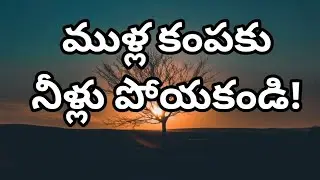 మనుషుల నిజస్వరూపం ఇదే! | Life Changing Words About Toxic Relationships | Telugu Motivation. 