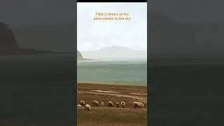 Tibet is known as the place closest to the sky#china #Tibet#TibetanHolyLake