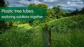 Plastic tree tubes: exploring solutions together