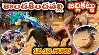 కొండకిందపల్లి జల్లికట్టు 🔥19.10.2025 (Kondakindhapalli Jallikattu) 💥 దడపుట్టించిన జల్లికట్టు eddhulu