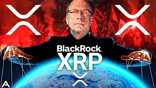 BlackRock, the World's Largest Asset Manager, Is Interested in XRP: What Investors Need to Know