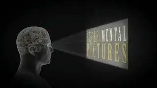 Beacon/Experimental Pictures/CBS Television Studios (2010)