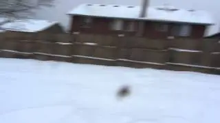 Ice melting off Power lines
