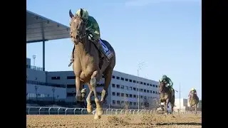 CHANCER McPATRICK Champagne Stakes (G1) 2024