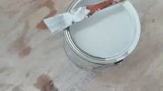 She Shed/Studio build.  Painting the inside!