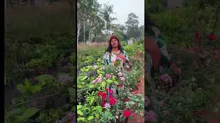 🌿 Keep plants in your office&hellip;collect rent every month 💰Green Business Idea &ndash; Day 15