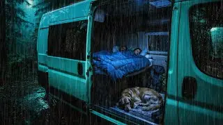 Cozy Forest Van Rainstorm | Calm Thunder & Rain Sounds