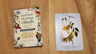The Spiritual Meaning Of Birds Oracle Deck Preview Flip Through Wisdom & Insight Winged Messengers