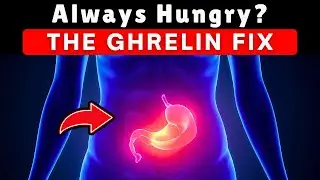 Stop Cravings Naturally: How to Reset Your Hunger Hormone