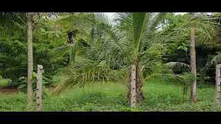 APS FLDP FARM VISIT 44 3840 2160 20 05 2025  4