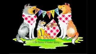 CRGI Picnic 2024