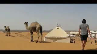Arabic Music YouTube-Desert Caravan by Aaron Kenny