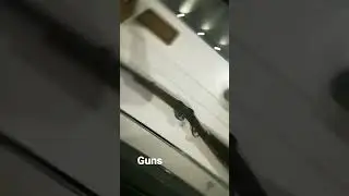 Guns in victoria memorial hall 2023
