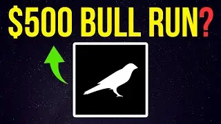 Can Kusama Reach $500 This Bull Run? | Kusama KSM Price Prediction