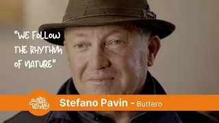 The Butteri: guardians of Maremma's wild cattle and horses (ITA SUB ENG)