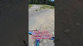 Whistler bike park Una mosd blue graded trail one of the best views in the park #mtb #whistler
