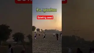 Sowing Seeds: A Hands-On Lesson in Agriculture #BSC #Students