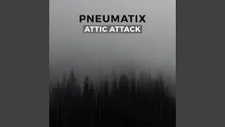 Attic Attack