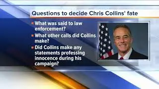Judge asks if Chris Collins claimed innocence during re-election campaign
