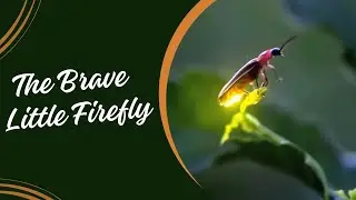 The Brave Little Firefly | Timeless Tales