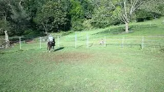 10042024  Leah - LV Horsemanship and Paige 15 year old Australian Riding Pony