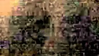 Real GNOMES / Duende / GOBLINS caught on film