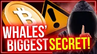 5 Secrets Crypto Whales and Insiders Don&rsquo;t Want You To Know (But You Should)