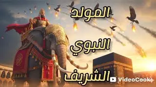 المولد النبوي الشريف.قصة عام الفيل.. نقطة تحول من الظلام الي النور.