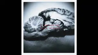 Disembody - silk mirror