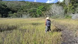 Eu vi quando fisgou só não imaginava que fosse acontecer isso 