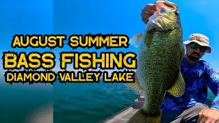 Summer Bass Fishing Diamond Valley Lake August 2025 #fishing #summer #bass #jangomike