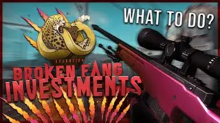 CS:GO WHAT TO DO WITH BROKEN FANG INVESTMENTS | How to Handle Broken Fang