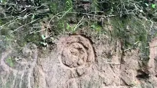 FieldVisit at Yangwarak Panchthar