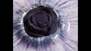 7 Days of Halloween Black Rose bath bomb - Bombed out
