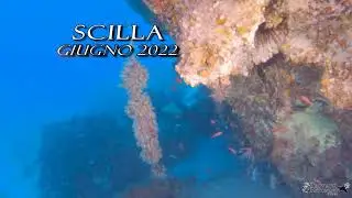 Immersione Scilla - Giugno 2022