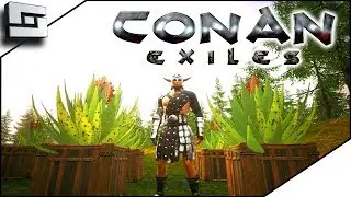 Conan Exiles Gameplay - Aloe Farming for Healing Wraps! E6