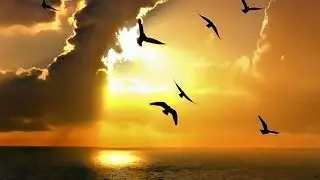 ❤♫ Topas - Days Of Summer（夏日時光）1980