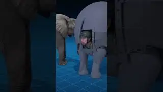 Tactical Elephant: The Rear Hatch Strategy 🐘🪖